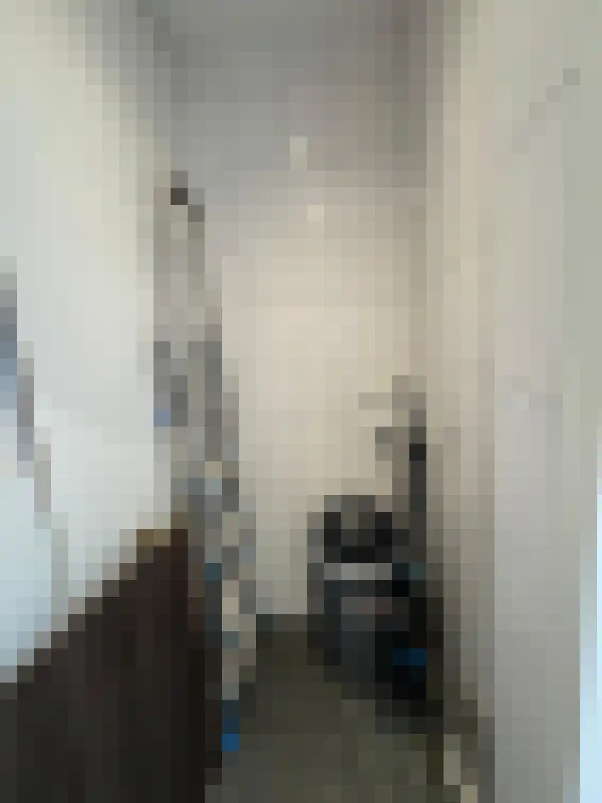 Slachthuisstraat 3 IJzendijke thumbnail 8