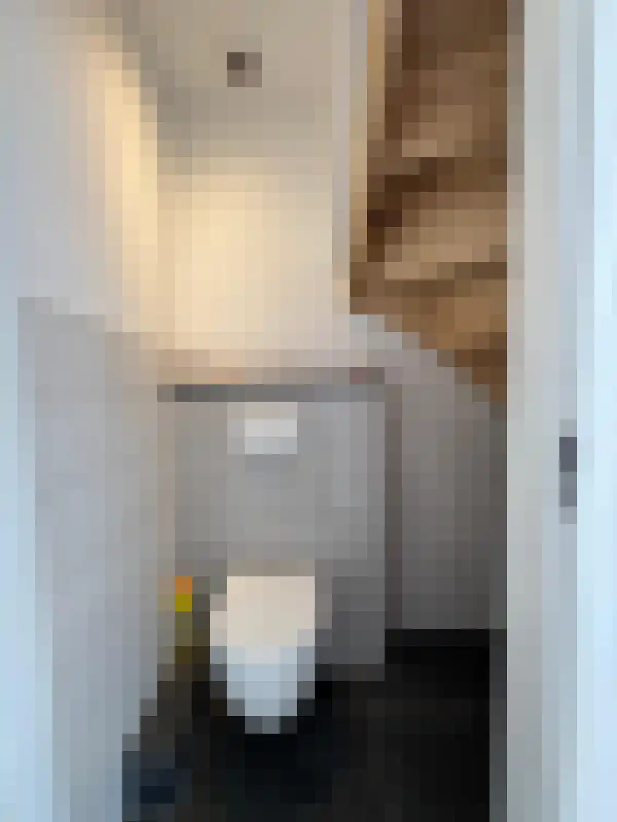 Slachthuisstraat 3 IJzendijke thumbnail 9