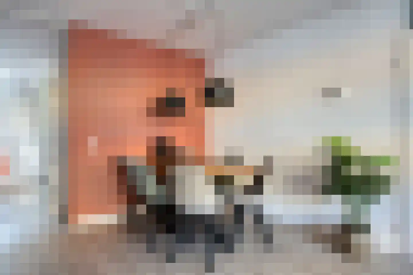 Slachthuisstraat 319 Groningen thumbnail 20