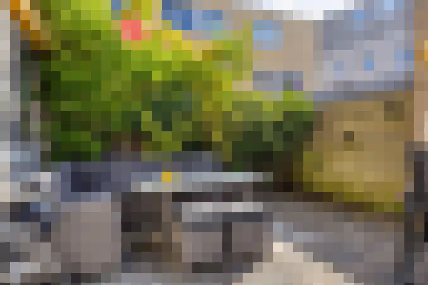 Slachthuisstraat 319 Groningen thumbnail 36