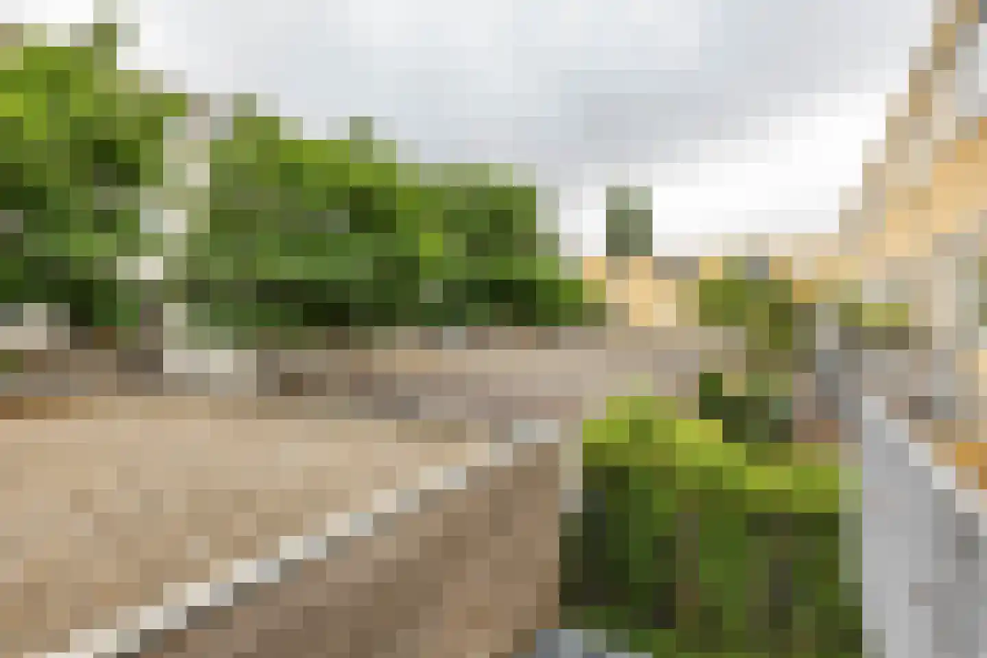 Slachthuisstraat 320 Groningen thumbnail 16
