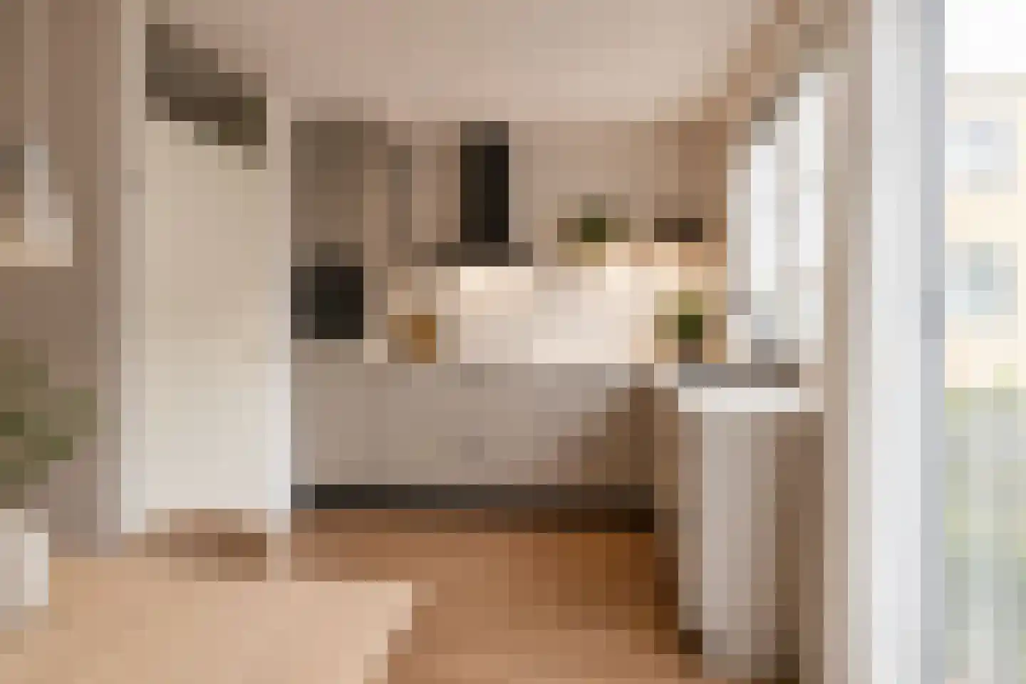 Slachthuisstraat 320 Groningen thumbnail 28