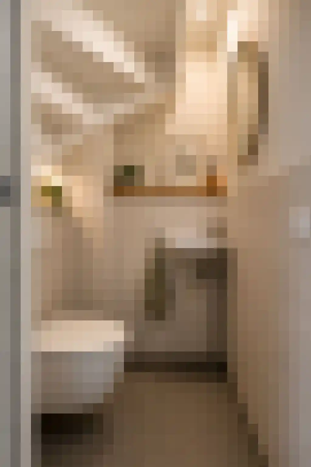 Slachthuisstraat 320 Groningen thumbnail 29