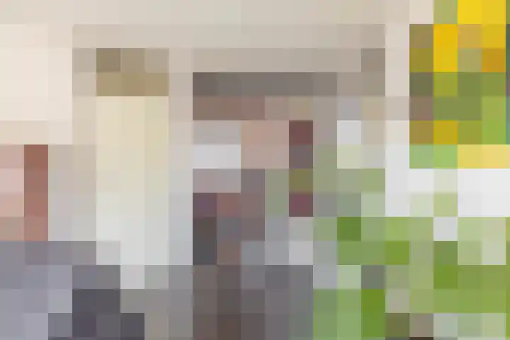 Slachthuisstraat 4 Groningen thumbnail 17