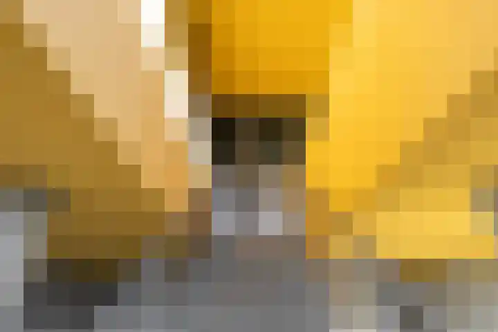 Slachthuisstraat 4 Groningen thumbnail 4