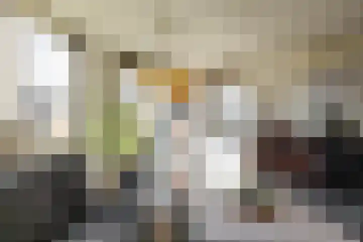 Slachthuisstraat 4 Groningen thumbnail 8