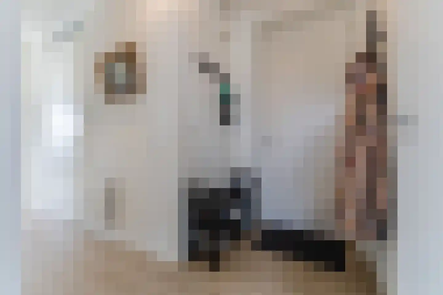 Slachthuisstraat 45 Geldrop thumbnail 11