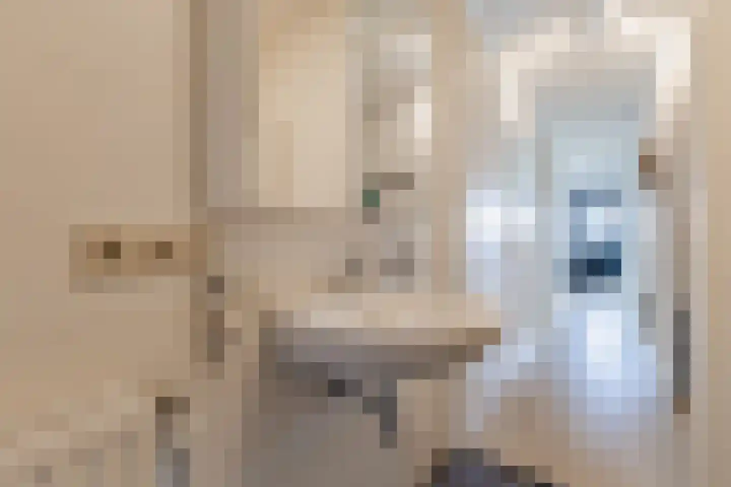 Slachthuisstraat 45 Geldrop thumbnail 26
