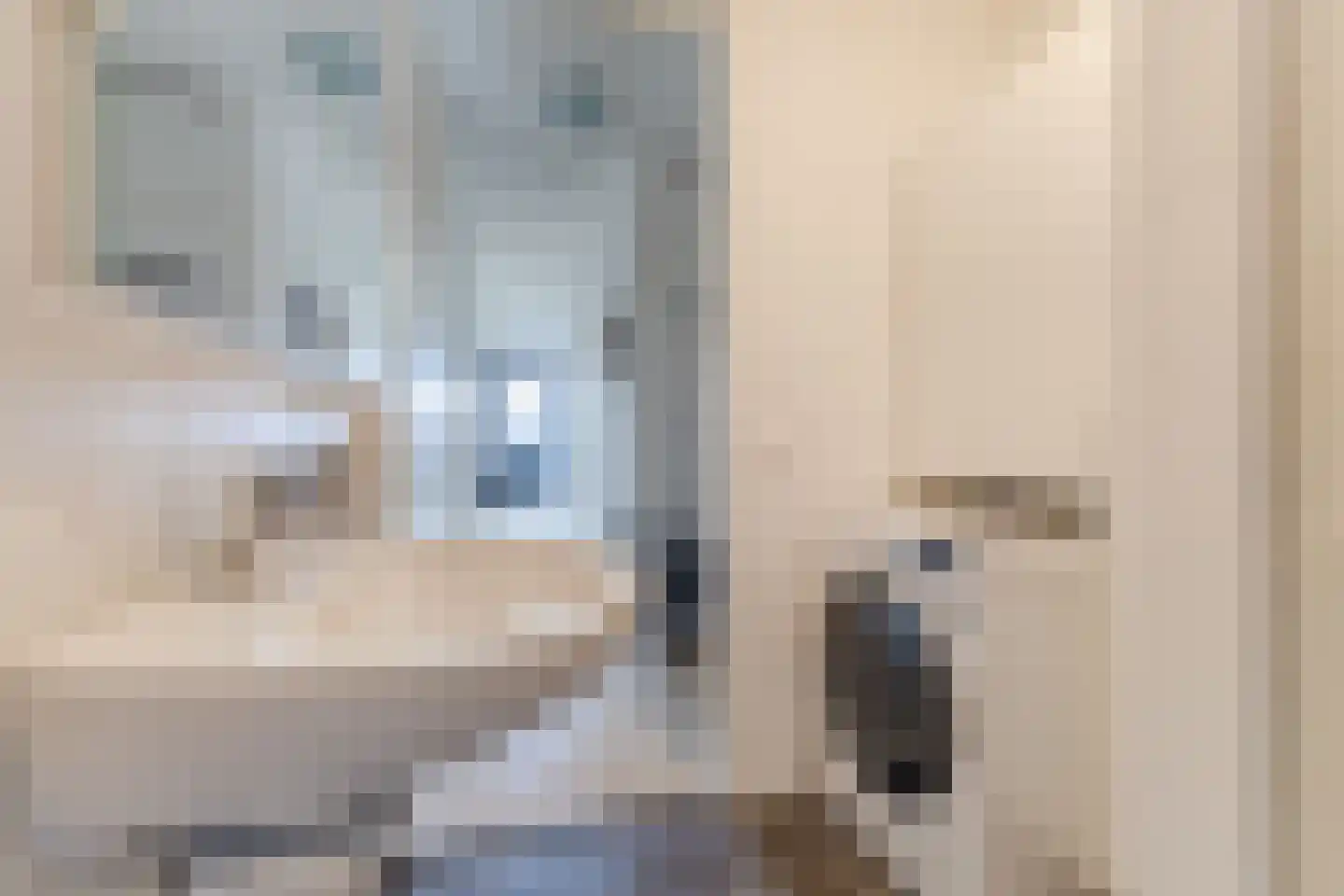 Slachthuisstraat 45 Geldrop thumbnail 27