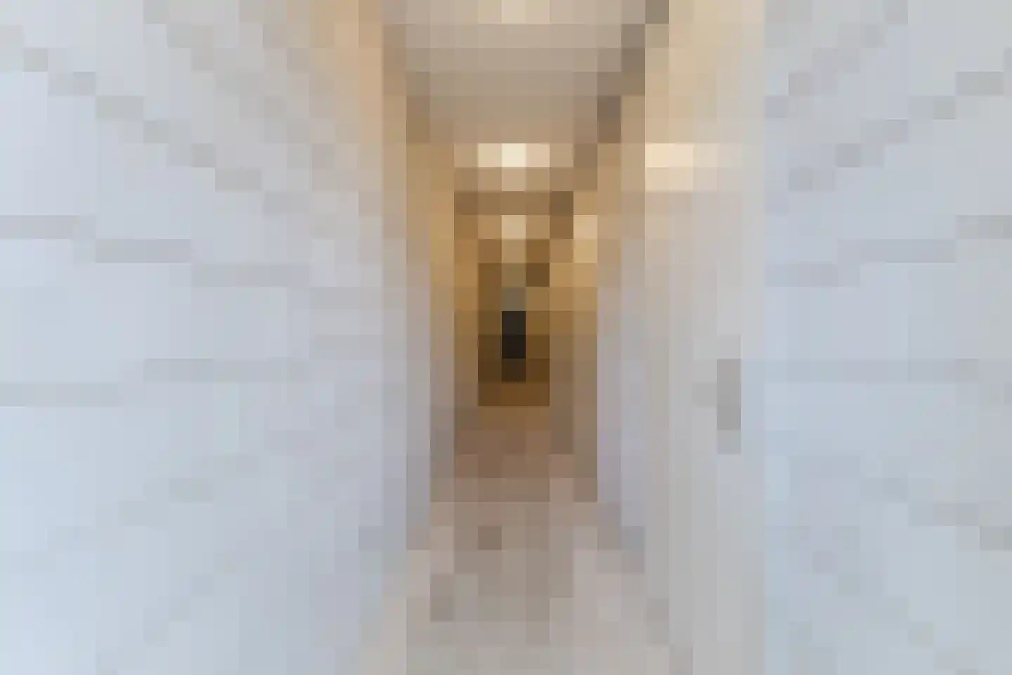 Slachthuisstraat 45 Geldrop thumbnail 34