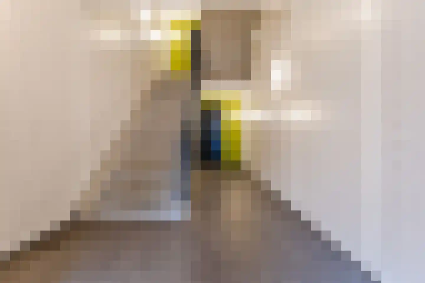 Slachthuisstraat 45 Geldrop thumbnail 7
