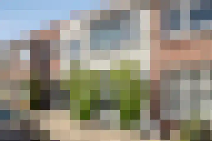 Slachthuisstraat 47 ZW Haarlem thumbnail 5