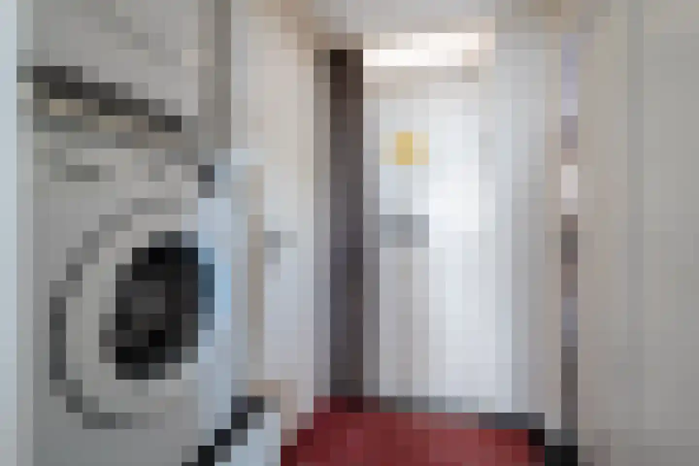 Slachthuisstraat 54 Groningen thumbnail 16