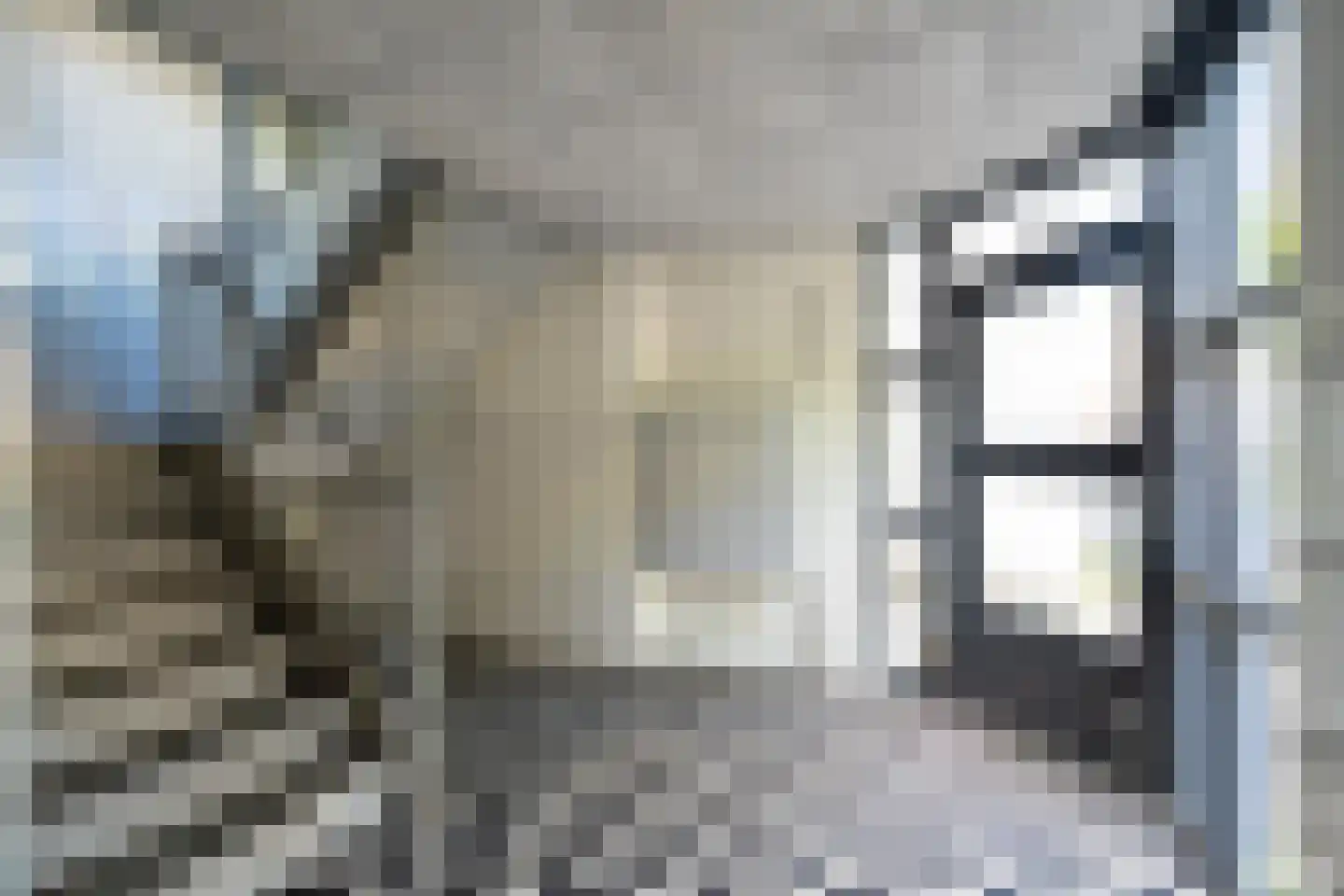 Slachthuisstraat 69 Groningen thumbnail 13