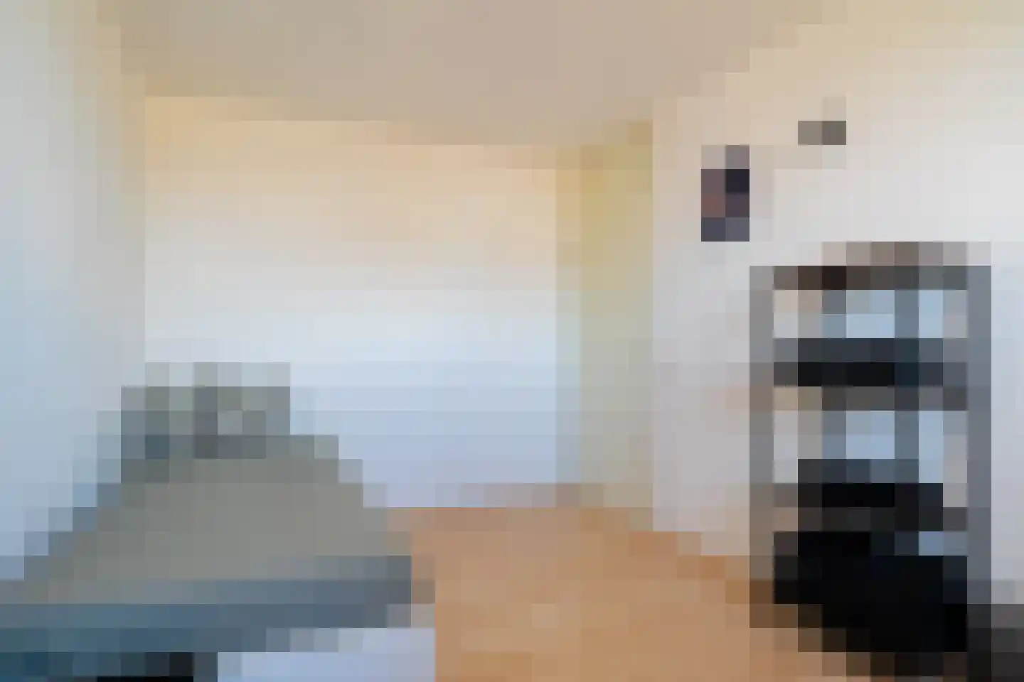 Slachthuisstraat 69 Groningen thumbnail 40