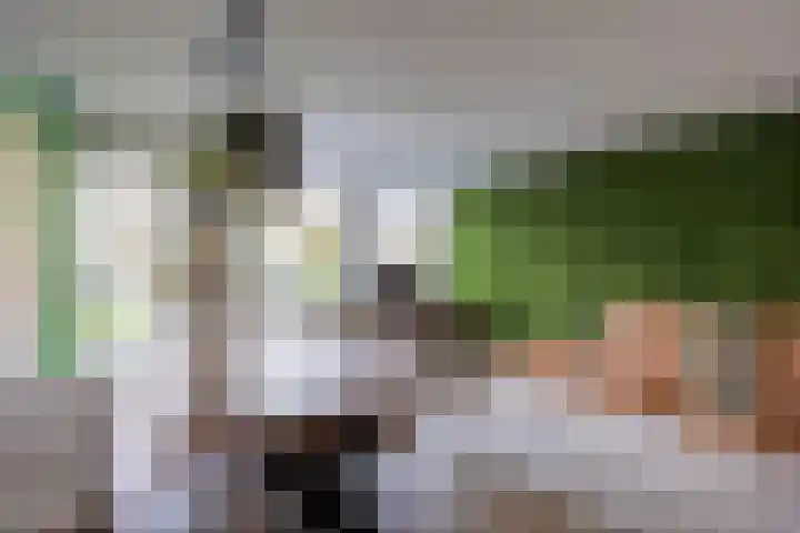 Slachthuisstraat 92 Groningen thumbnail 10