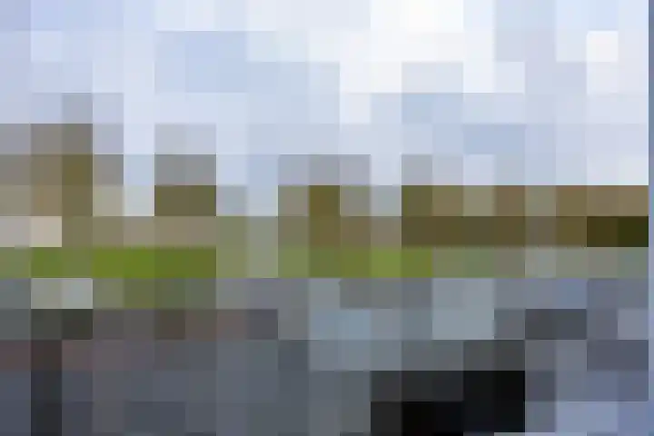 Slachthuisstraat 92 Groningen thumbnail 15