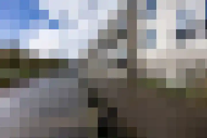 Slachthuisstraat 92 Groningen thumbnail 36