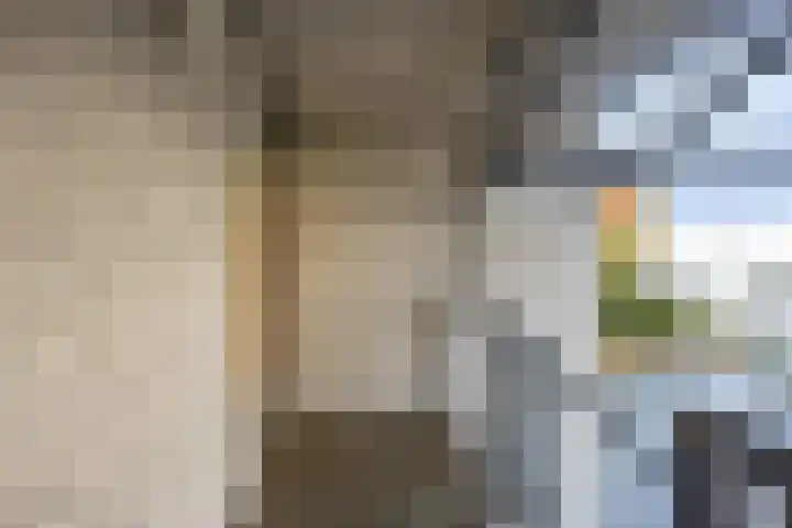 Slachthuisstraat 92 Groningen thumbnail 39