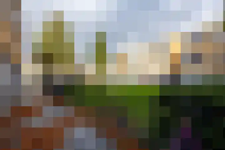 Slachthuisstraat 92 Groningen thumbnail 4