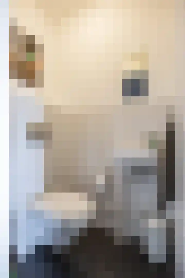 Slachthuisstraat 92 Groningen thumbnail 8