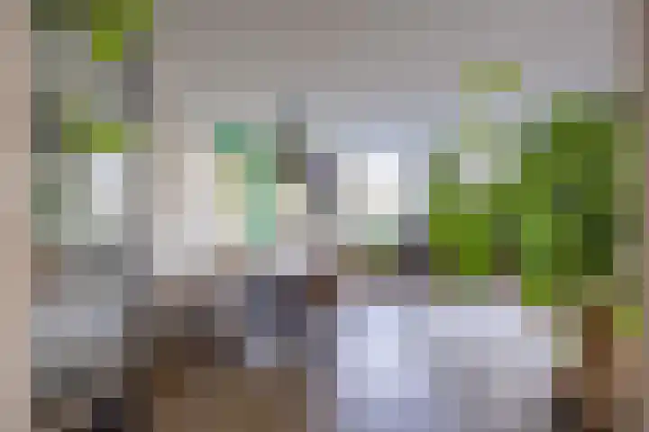 Slachthuisstraat 92 Groningen thumbnail 9