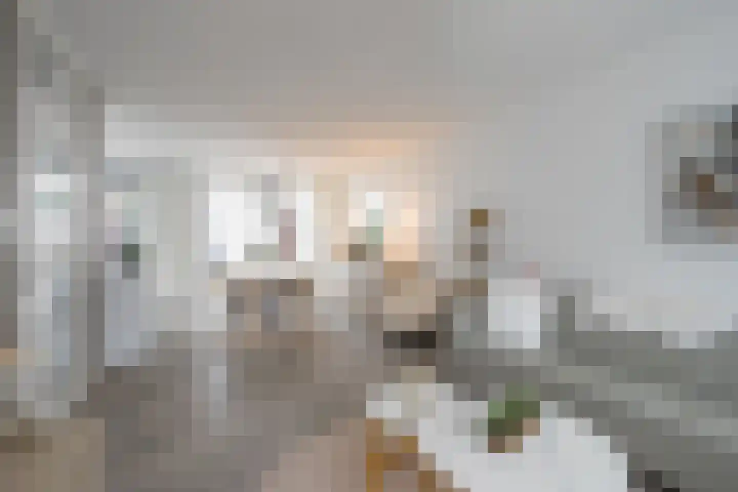 Slackegaard 95 Maastricht thumbnail 6