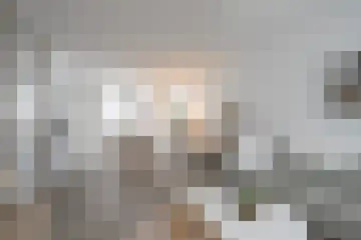 Slackegaard 95 Maastricht thumbnail 6