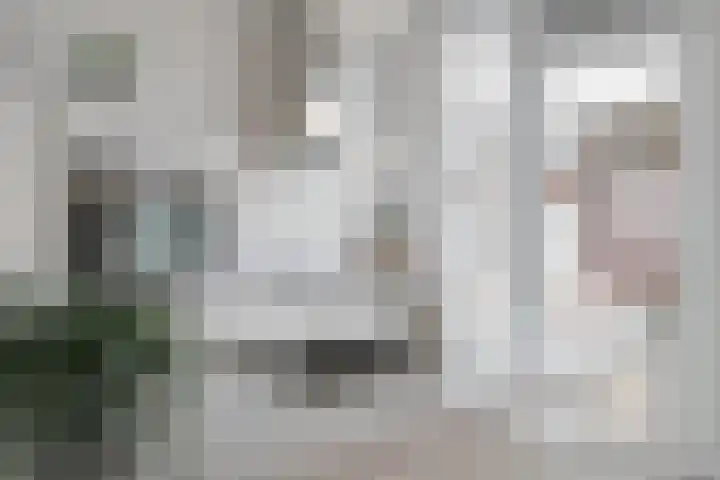 Slackegaard 95 Maastricht thumbnail 8