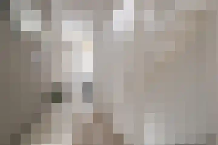 Slackegaard 95 Maastricht thumbnail 9