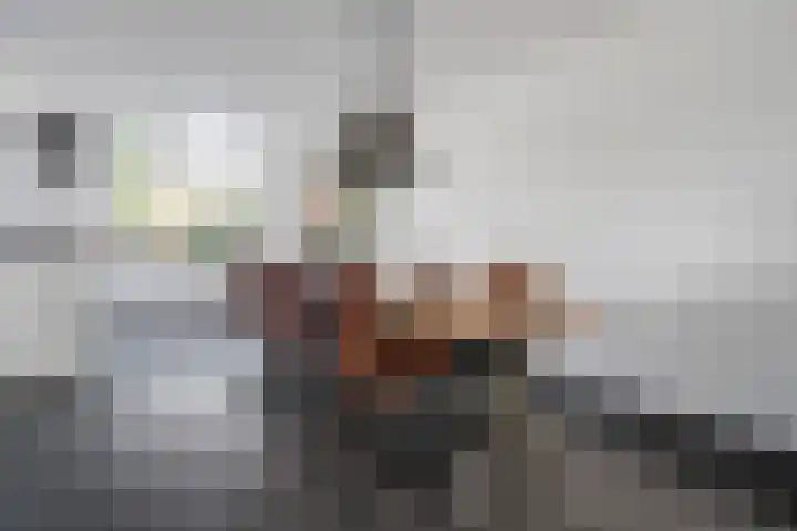 Sladenhuishoek 1 Enschede thumbnail 13