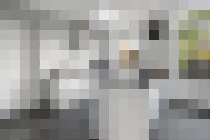 Sladenhuishoek 1 Enschede thumbnail 14