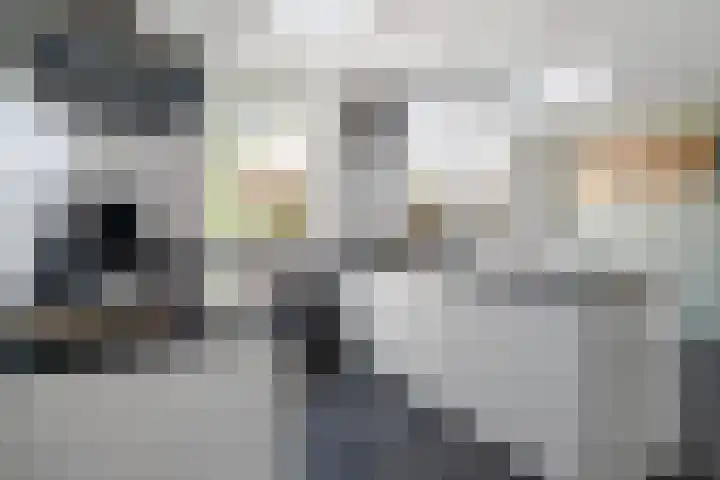 Sladenhuishoek 1 Enschede thumbnail 18