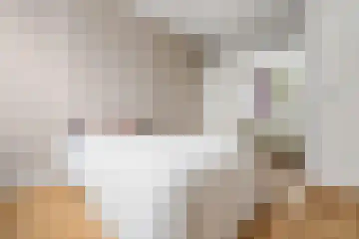 Sladenhuishoek 1 Enschede thumbnail 28