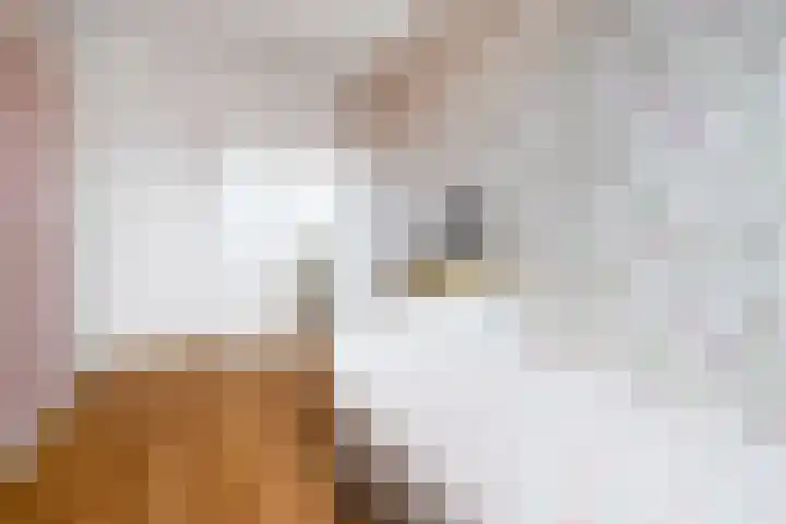 Sladenhuishoek 1 Enschede thumbnail 30