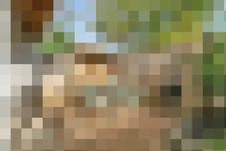 Sladenhuishoek 1 Enschede thumbnail 41