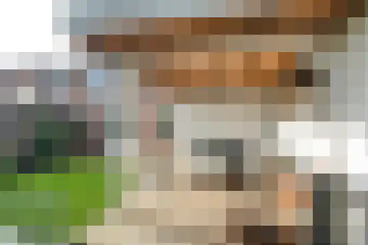 Sladenhuishoek 1 Enschede thumbnail 42