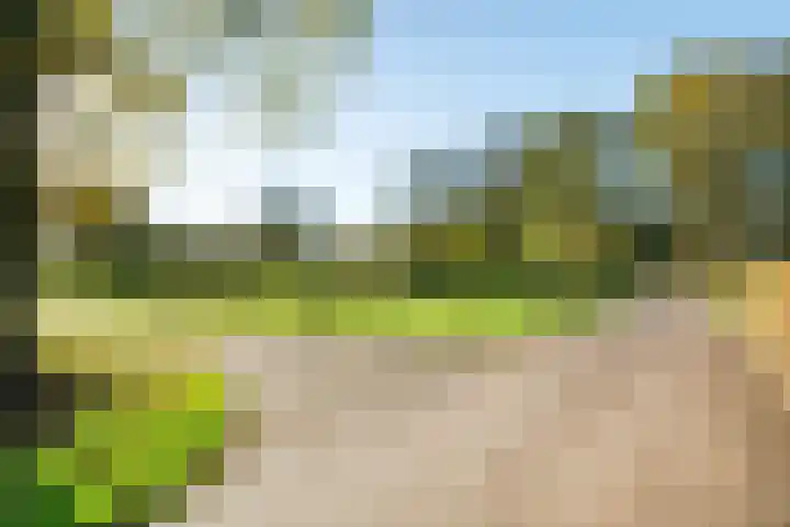 Sladenhuishoek 1 Enschede thumbnail 44