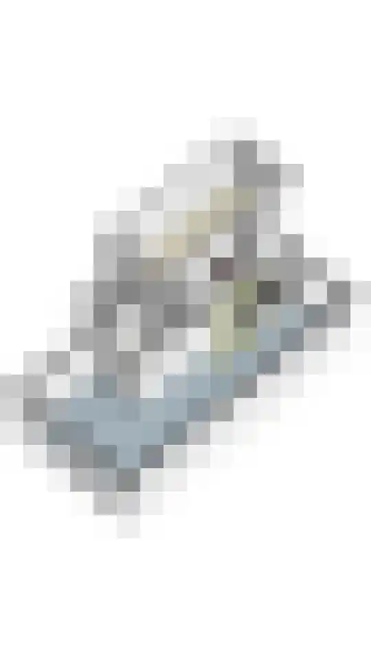 Sladenhuishoek 1 Enschede thumbnail 48