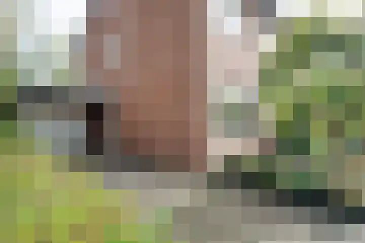 Sladenhuishoek 1 Enschede thumbnail 7
