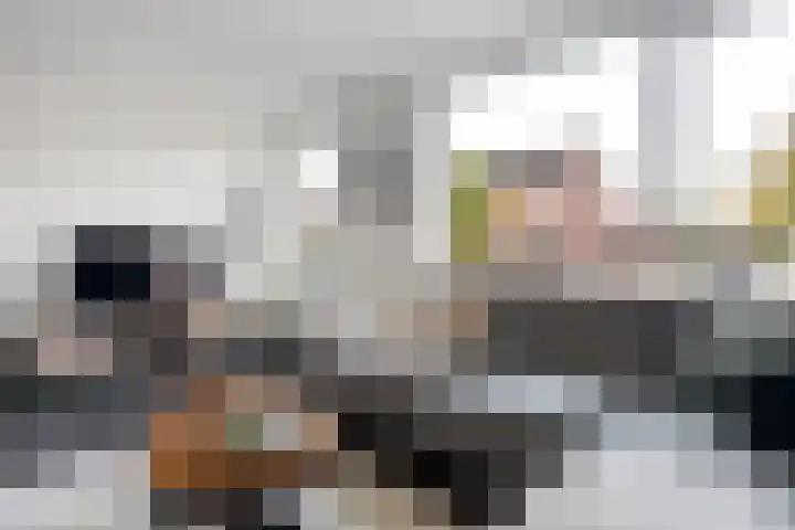 Sladenhuishoek 1 Enschede thumbnail 8