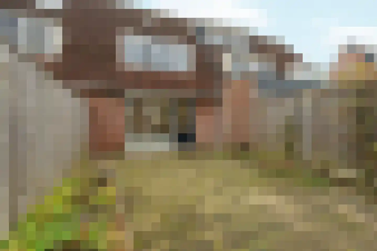 Sladenhuishoek 44 Enschede thumbnail 36