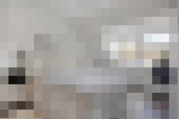 Sladenhuishoek 60 Enschede thumbnail 4