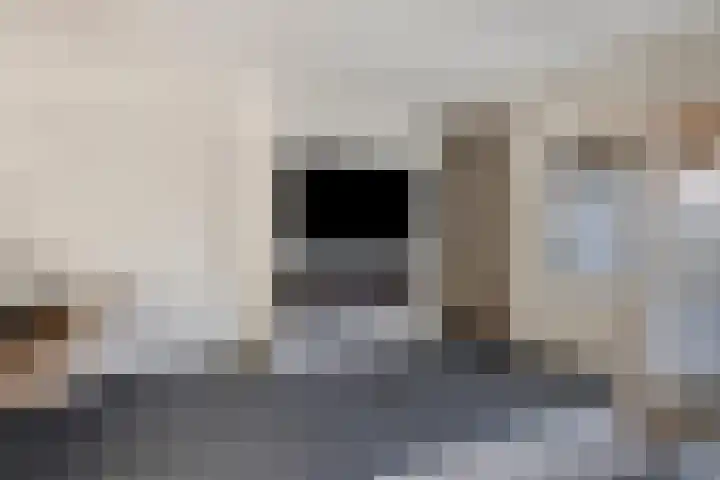 Sladenhuishoek 60 Enschede thumbnail 8