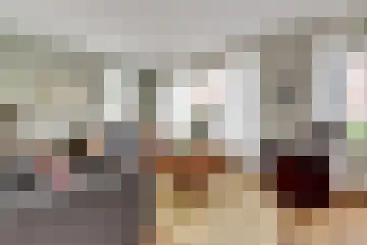 Sladenhuishoek 77 Enschede thumbnail 7