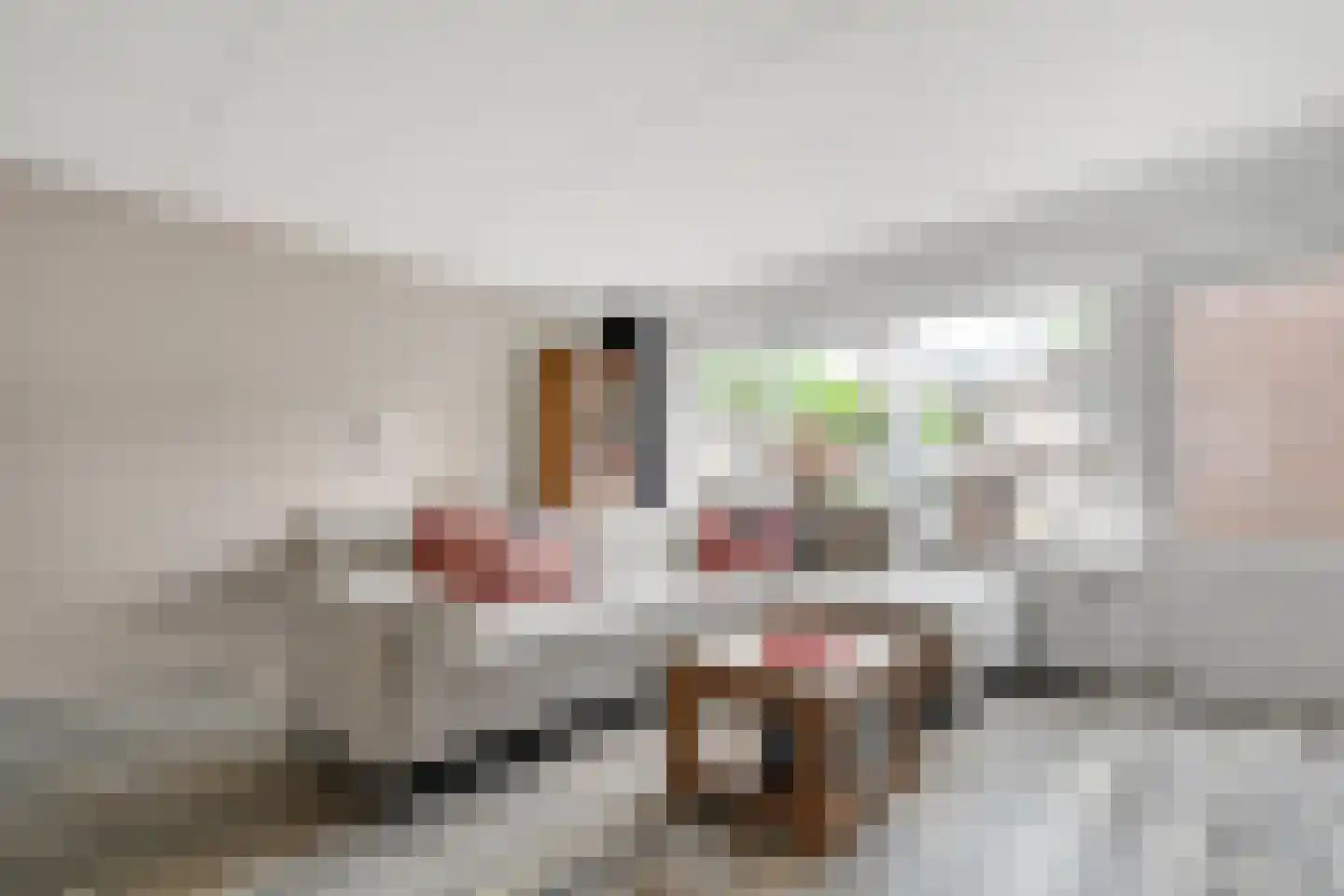 Sladenhuishoek 90 Enschede thumbnail 4