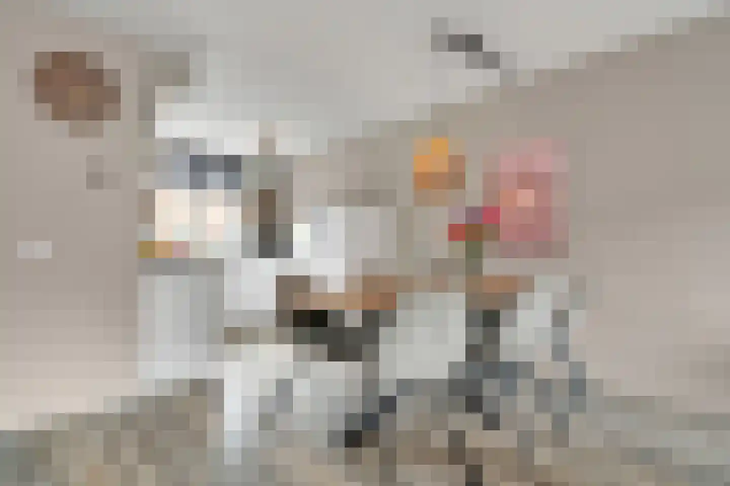 Sladenhuishoek 90 Enschede thumbnail 6
