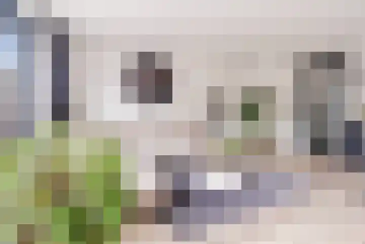 Slagbaai 12 Almere thumbnail 12
