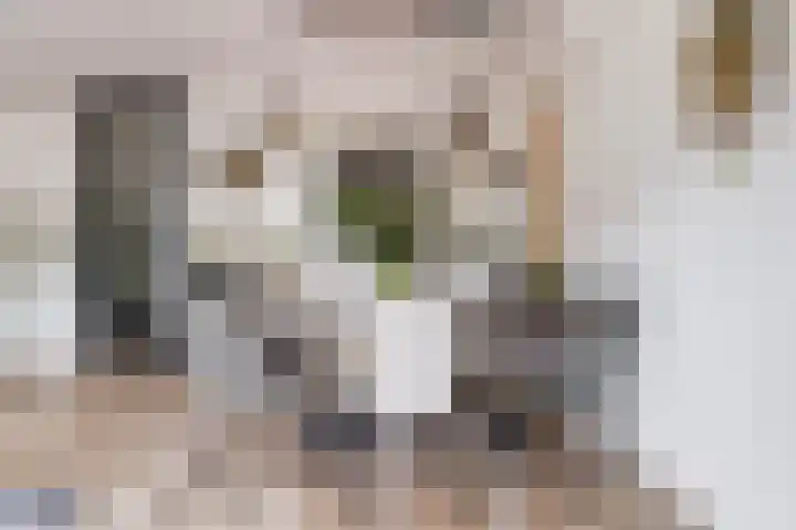 Slagbaai 12 Almere thumbnail 14