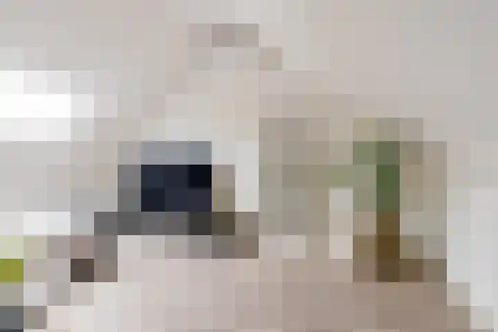 Slagbaai 12 Almere thumbnail 33